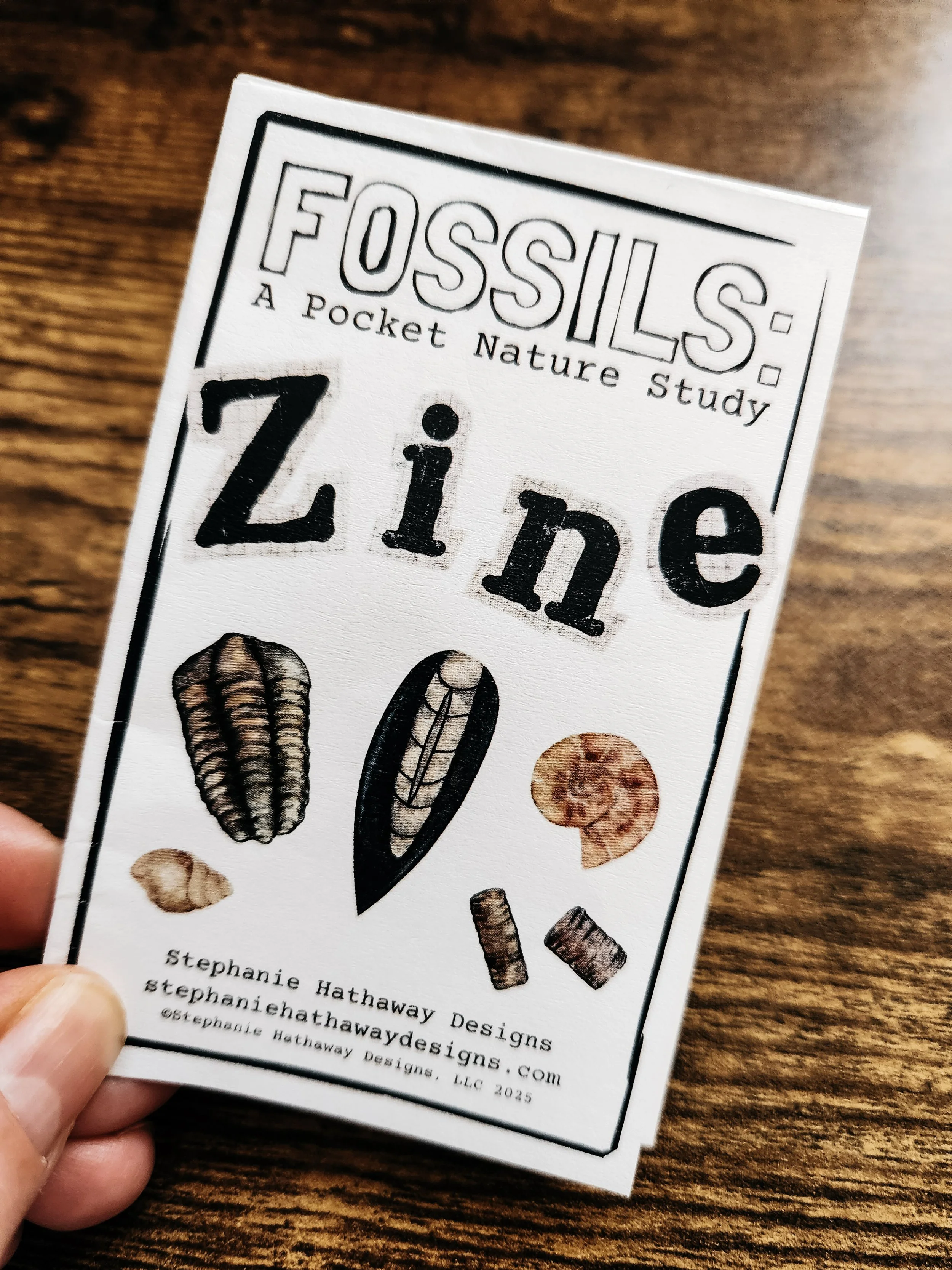 Fossil Nature Zine — Stephanie Hathaway Designs